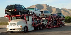 Metti International Vehicle Transport & Car Shipping